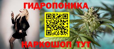 прущие грибы Боровичи