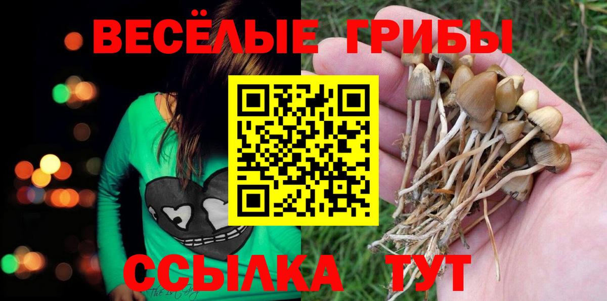 Галлюциногенные грибы ЛСД  Вход с VPN  Губаха  Псилоцибиновые грибы мицелий 