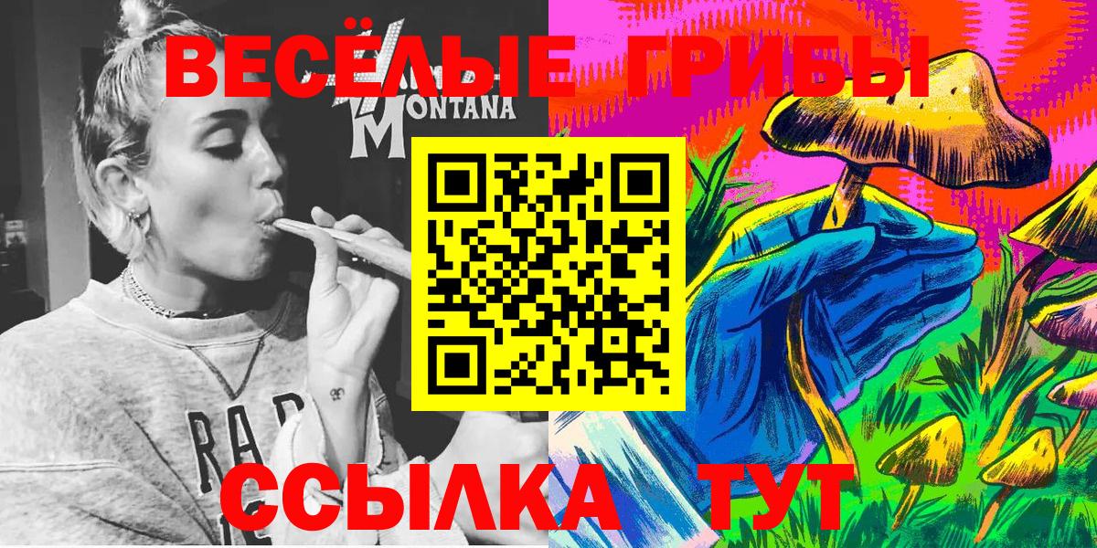 Псилоцибиновые грибы Psilocybe Губаха